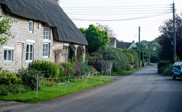 Thatch roof cottage off a road