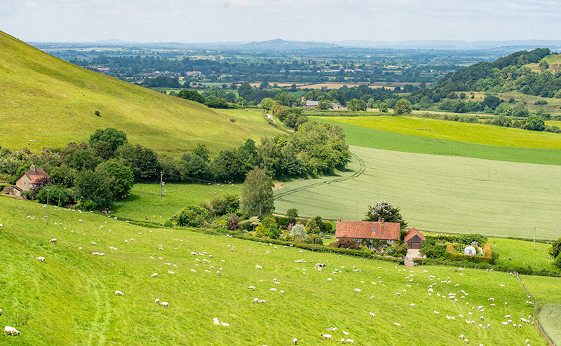 Somerset landscape with houses and hills